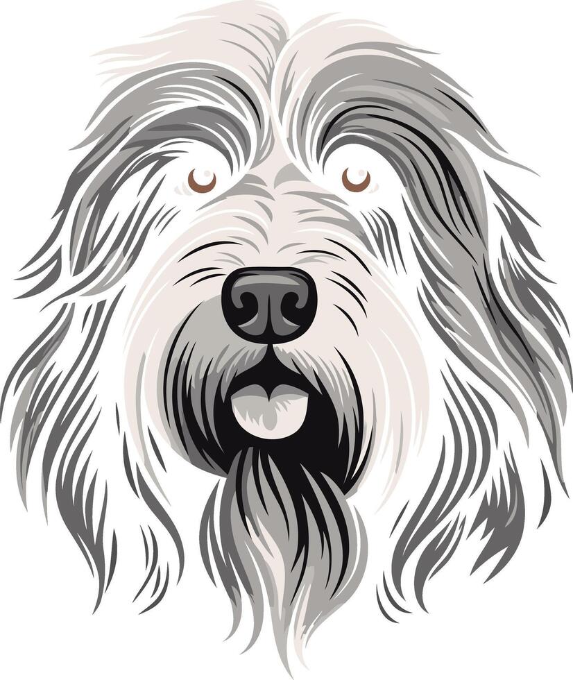 Portrait of a Bearded Collie vector
