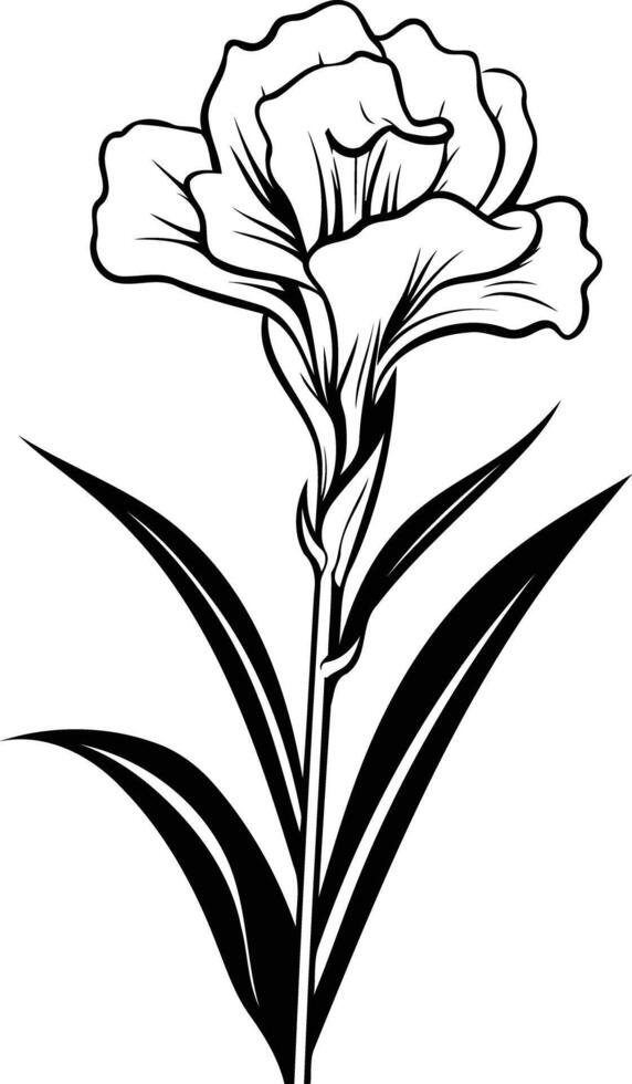 Elegant black and white line art illustration of a single carnation flower with leaves vector