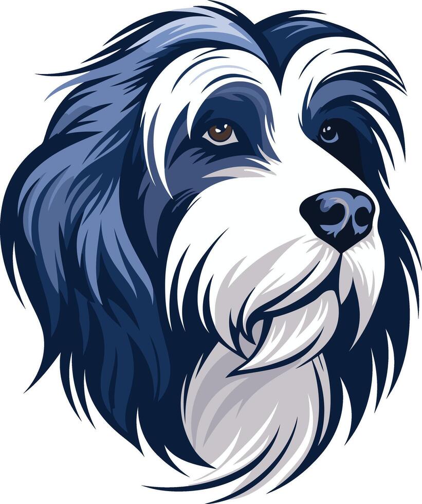 Portrait of a Bearded Collie vector