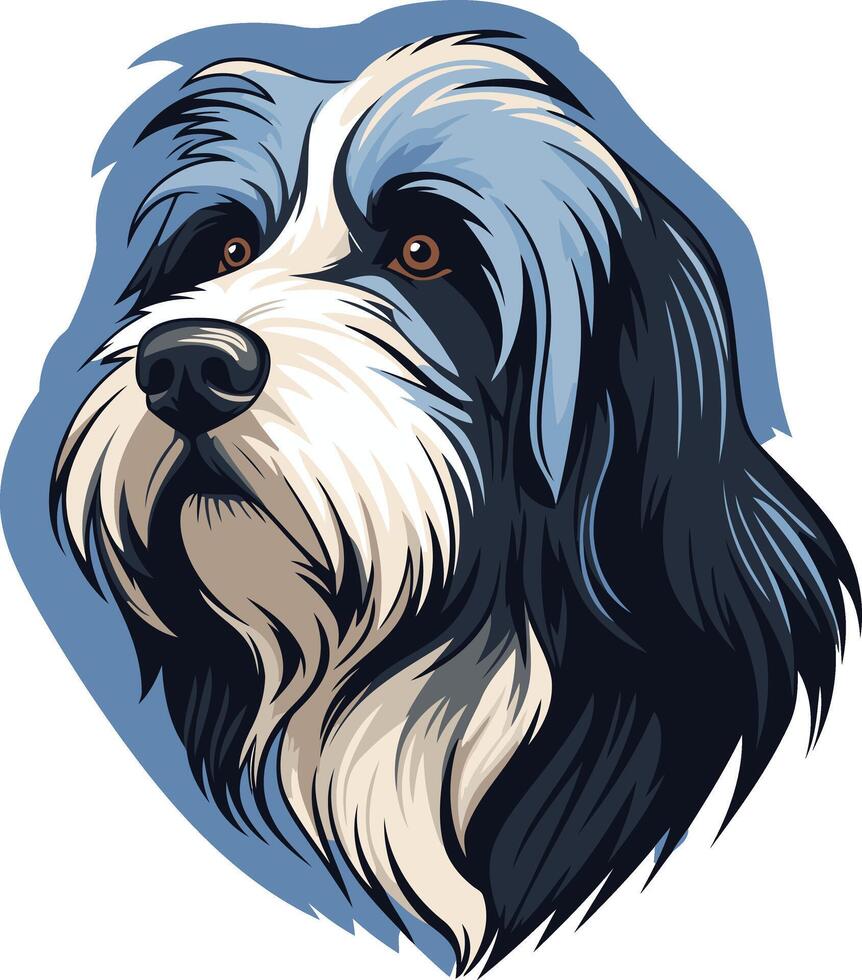 Portrait of a Bearded Collie vector