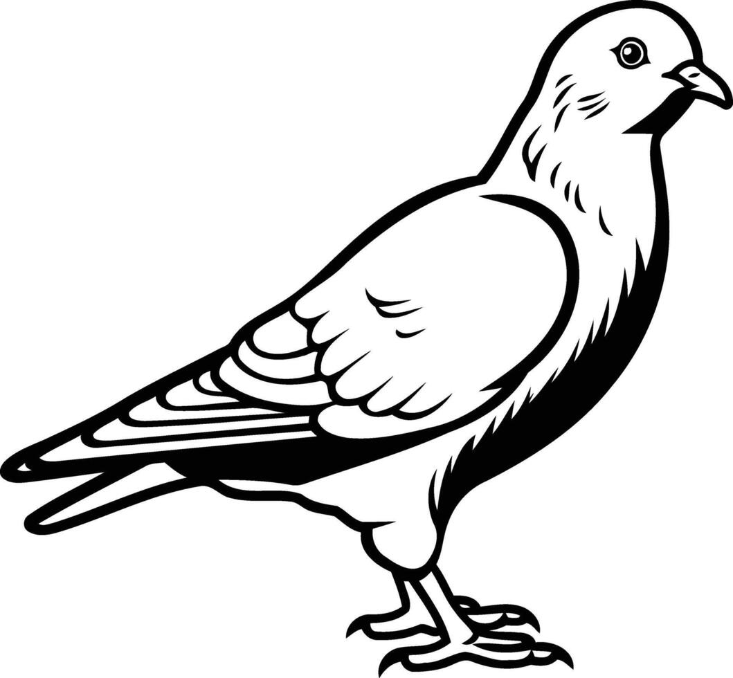 Simple line art illustration of a pigeon in profile, perfect for designs, logos, or tattoo inspiration vector