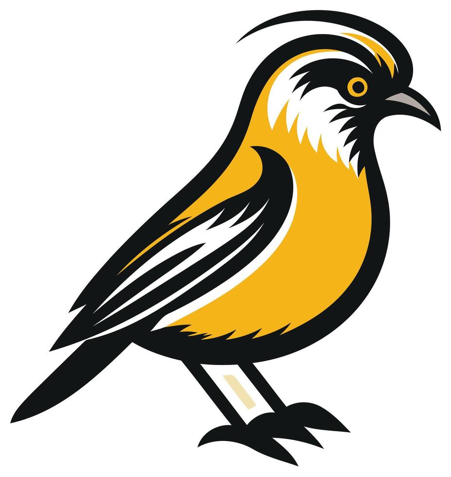 Yellow Bird with Black and White Feathers vector