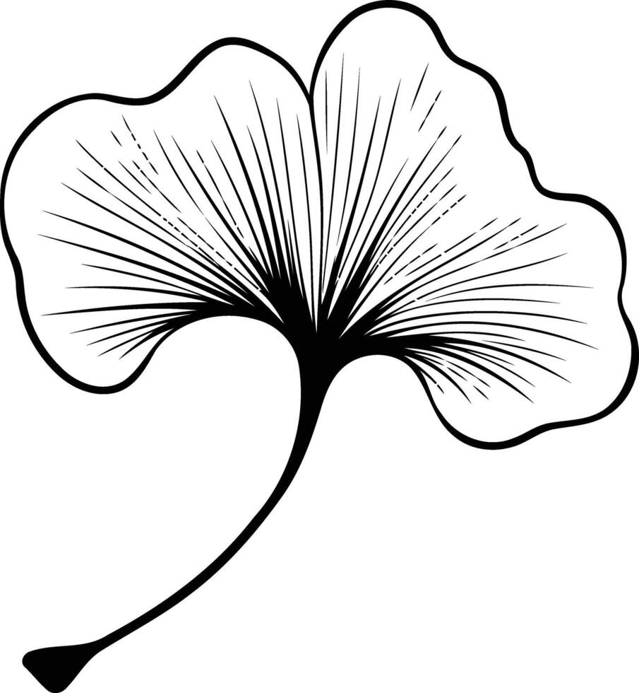 A simple yet elegant black and white illustration of a ginkgo leaf vector