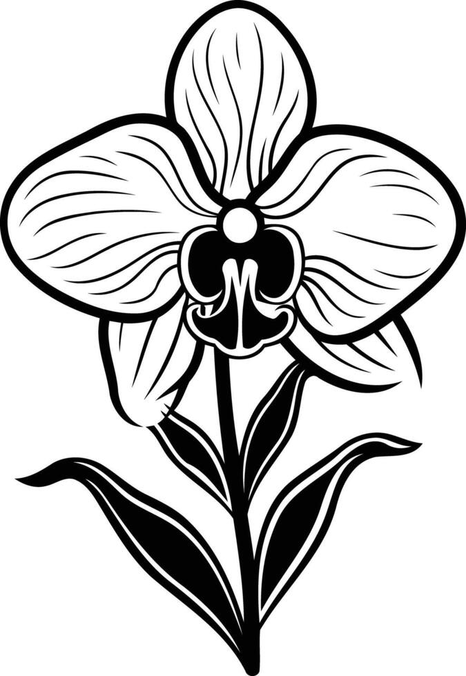 Elegant black and white illustration of a single orchid flower vector