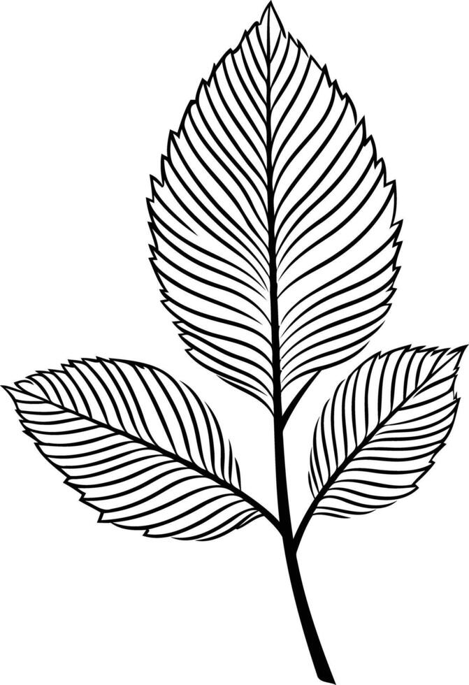 Simple, elegant black and white line drawing of a leaf sprig vector