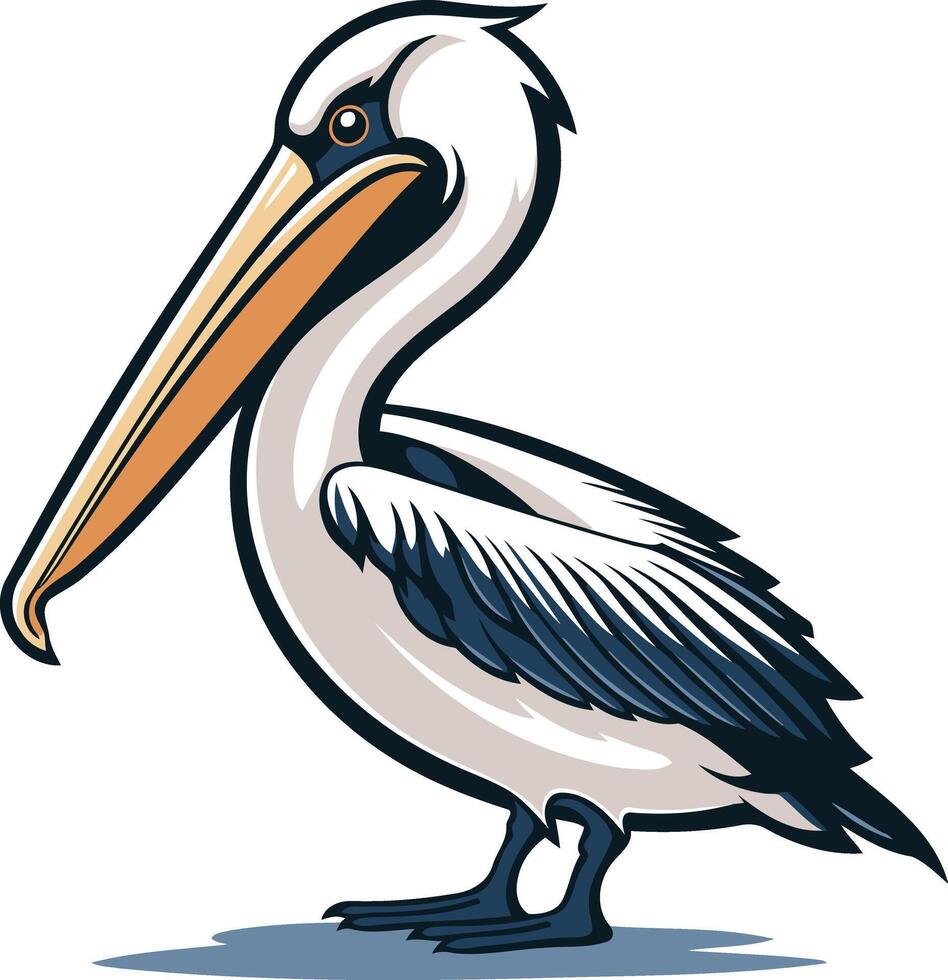Pelican Illustration in Cartoon Style vector