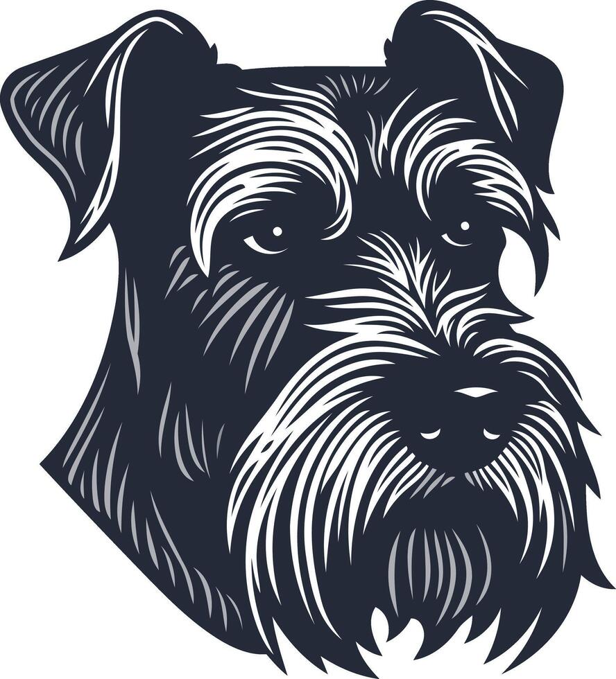 Portrait of a Miniature Schnauzer vector