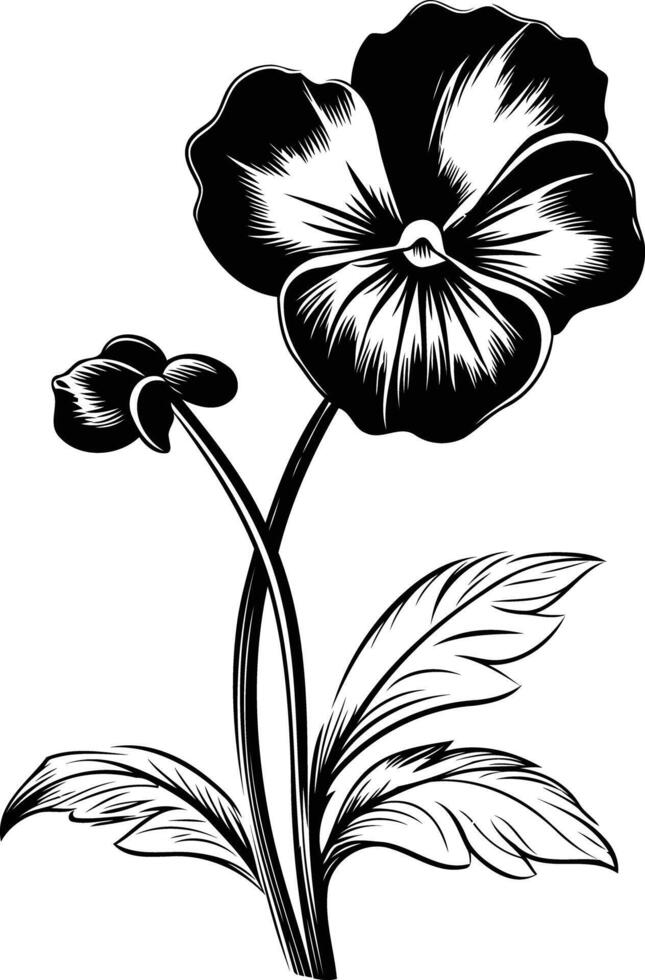 Elegant silhouette of a single pansy flower with intricate details vector