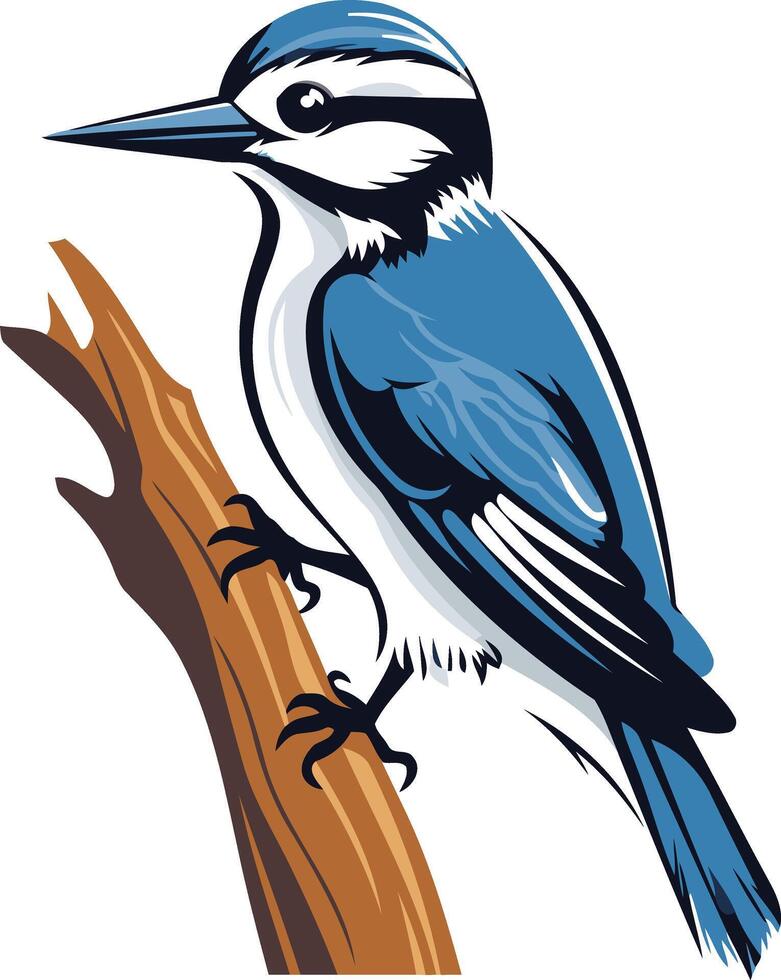 Blue Jay Perched on a Branch vector