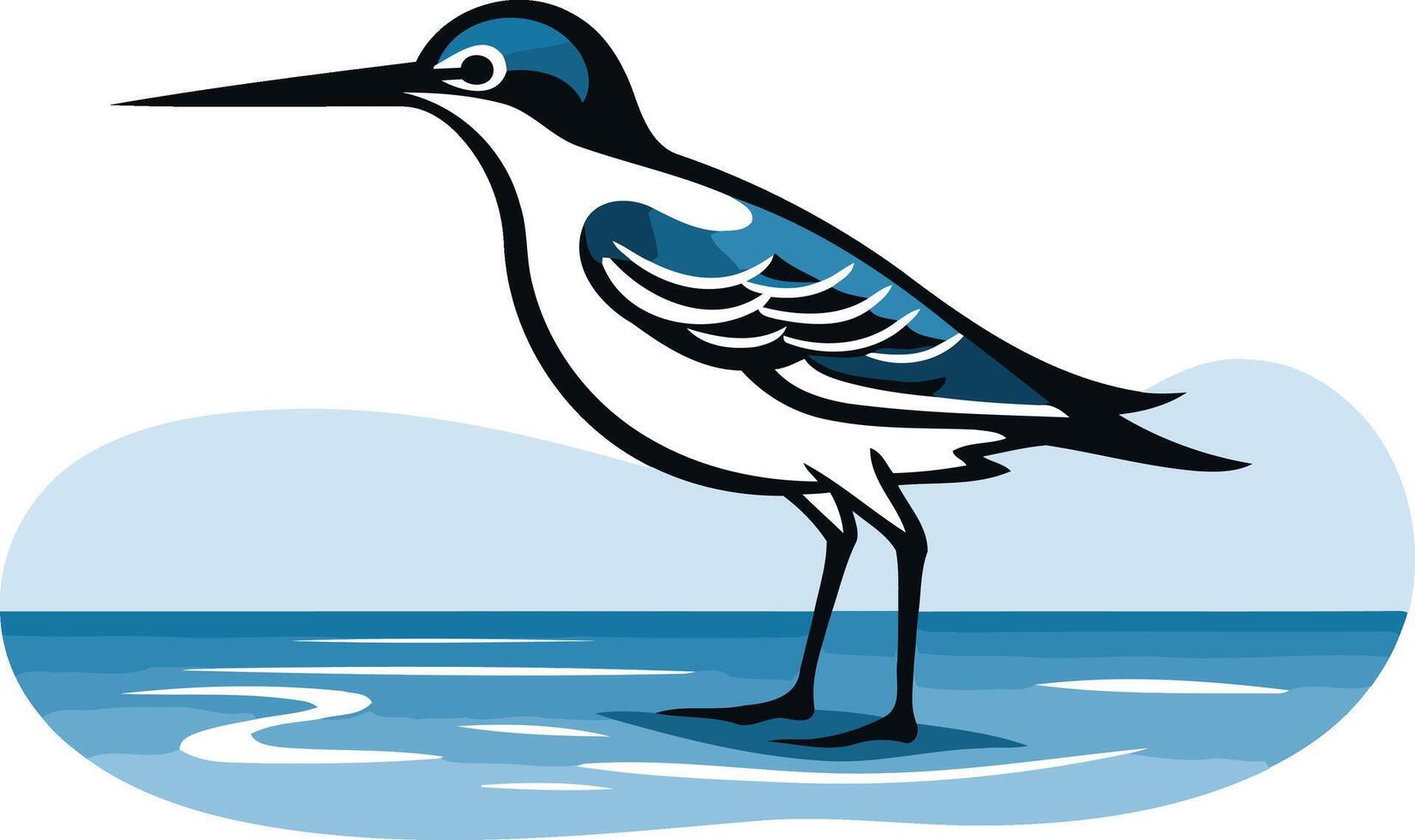 Shorebird on a Blue Water vector
