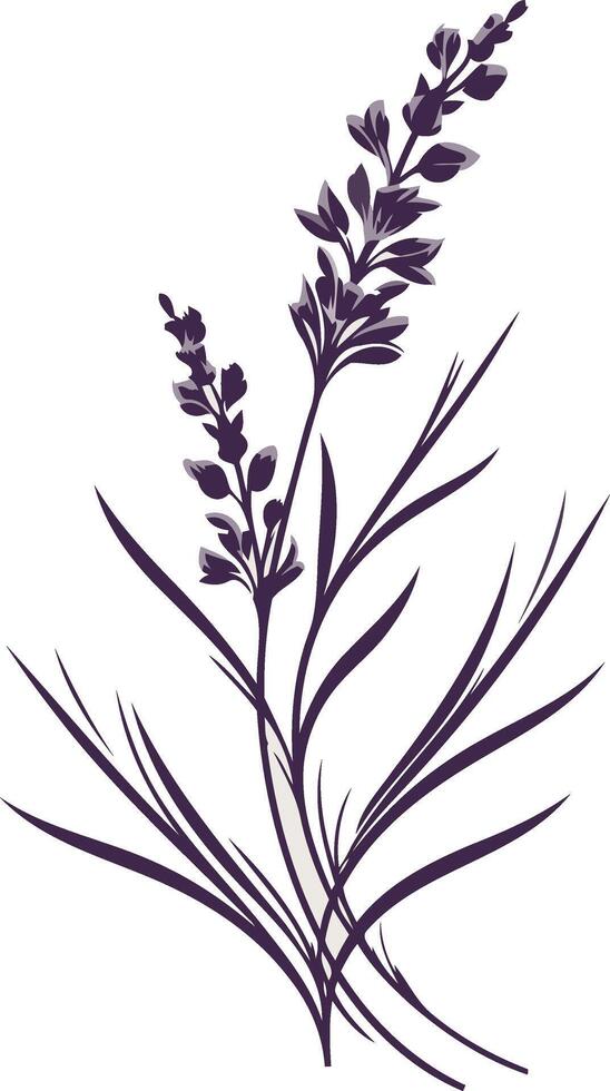 Elegant Lavender Illustration vector