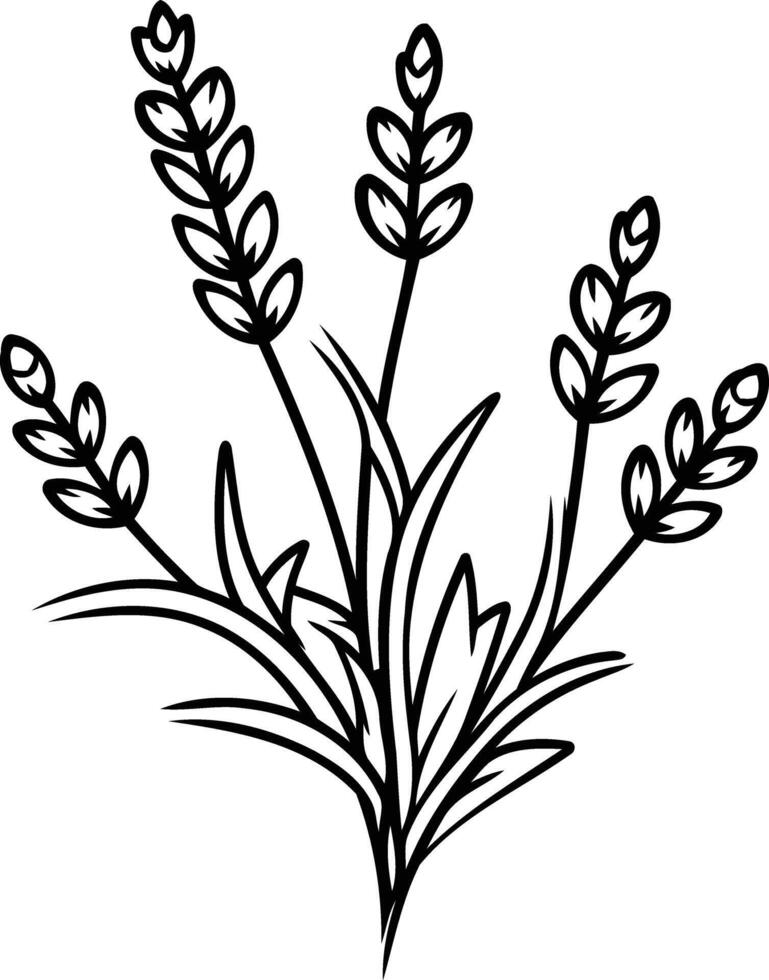 Simple line art illustration of lavender flowers, perfect for minimalist designs, branding, or tattoos vector