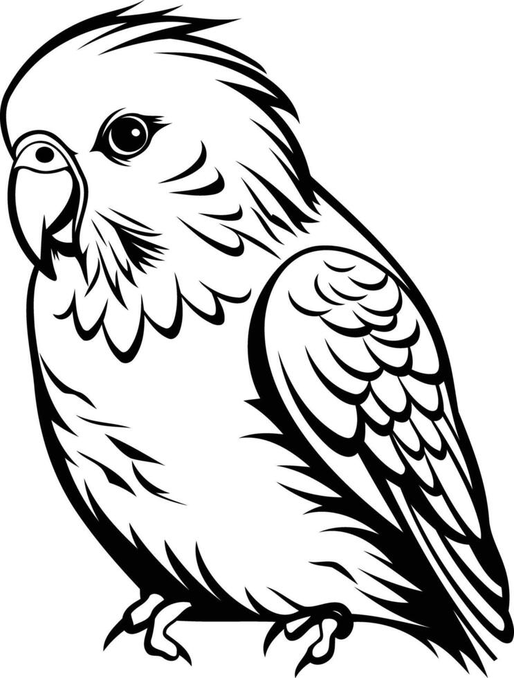 Simple line drawing of a cute parakeet, perfect for coloring pages, educational materials, or logo design vector