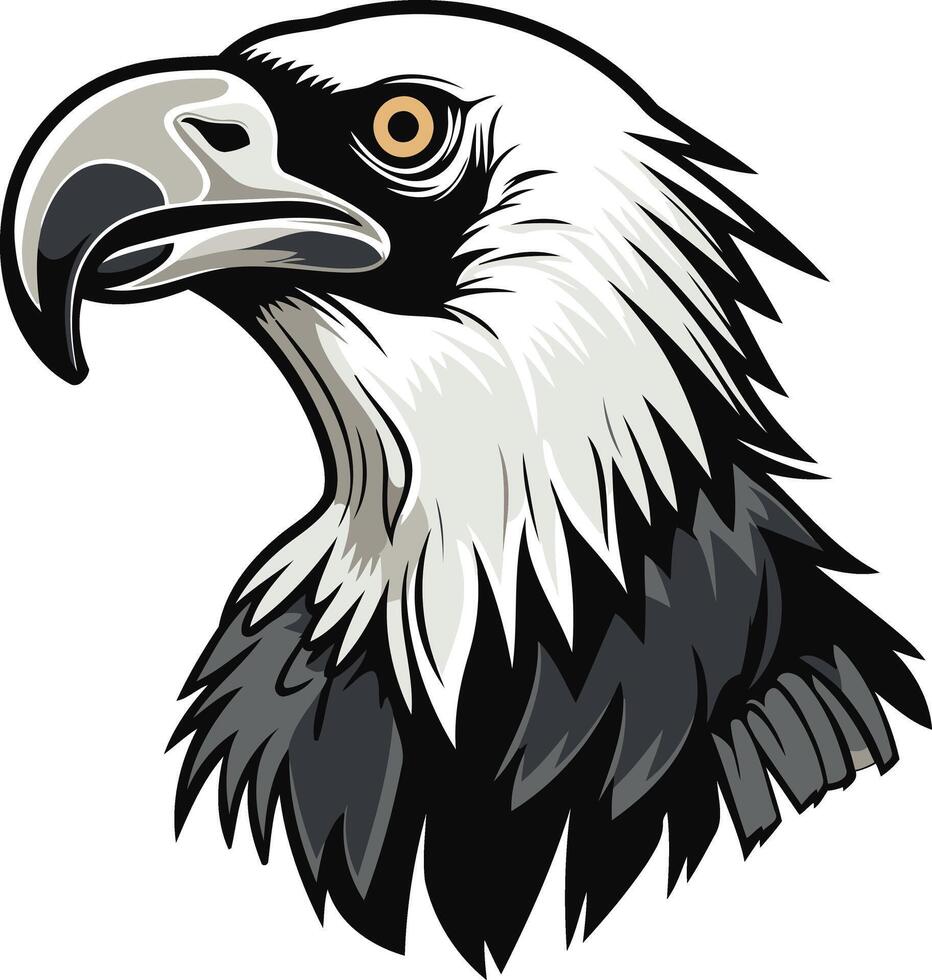 Majestic Bald Eagle Head Illustration vector
