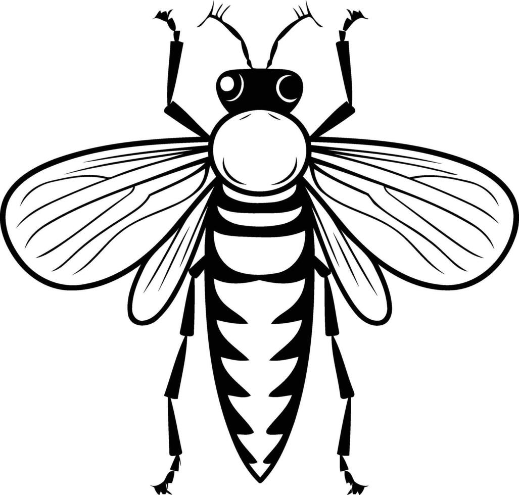 Black and white illustration of a bee in a simple, detailed style vector