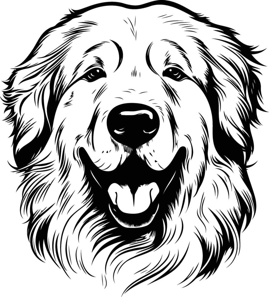 A bold and graphic illustration of a golden retriever's head, captured in a line art style vector