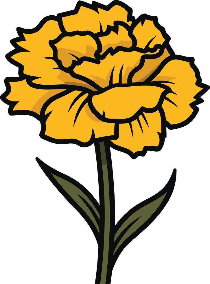 Yellow Carnation Flower Illustration vector