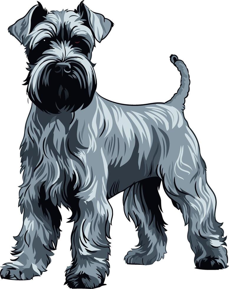 Miniature Schnauzer Standing Proud vector