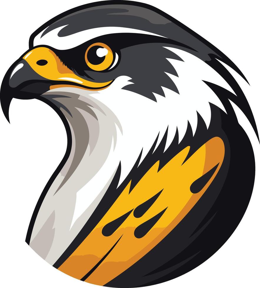 Hawk Head Illustration vector