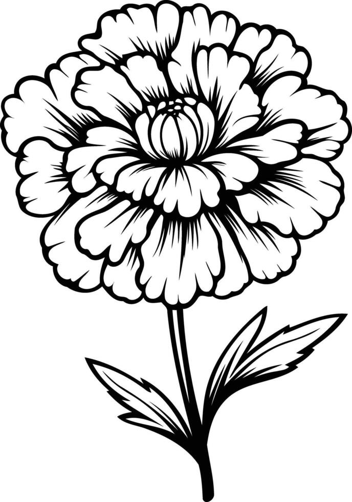Elegant line art illustration of a single flower with leaves, perfect for invitations, greeting cards, or as a tattoo design vector