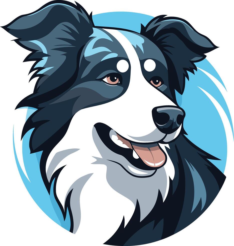 Portrait of a Border Collie vector
