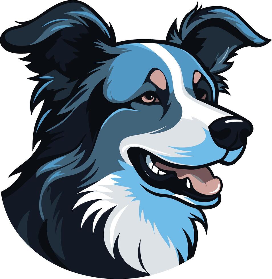 Blue Eyed Border Collie Portrait vector