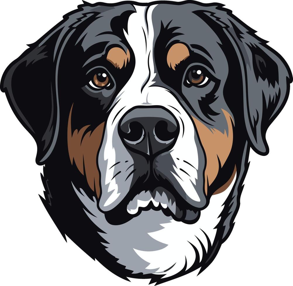 Close up Portrait of a Bernese Mountain Dog vector