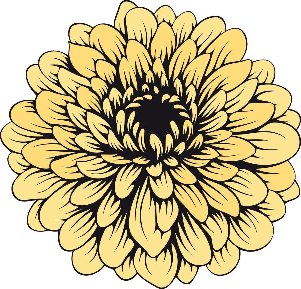 A Detailed Illustration of a Yellow Flower vector
