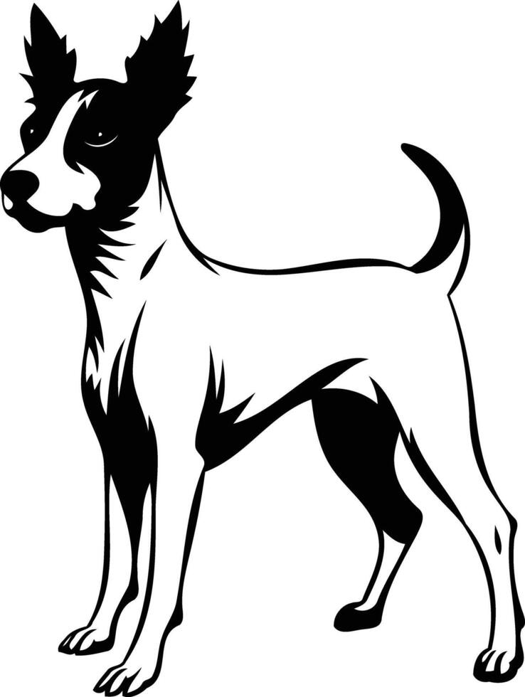 Black and white silhouette of a xoloitzcuintli, a hairless mexican dog breed, standing with its head turned to the side vector