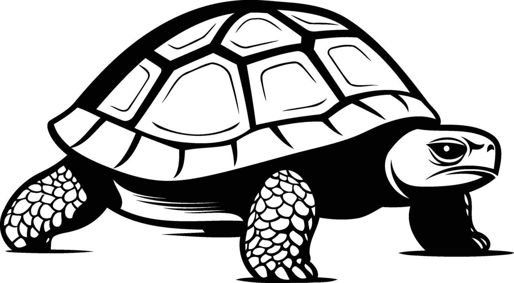 A classic, bold black and white illustration of a tortoise vector