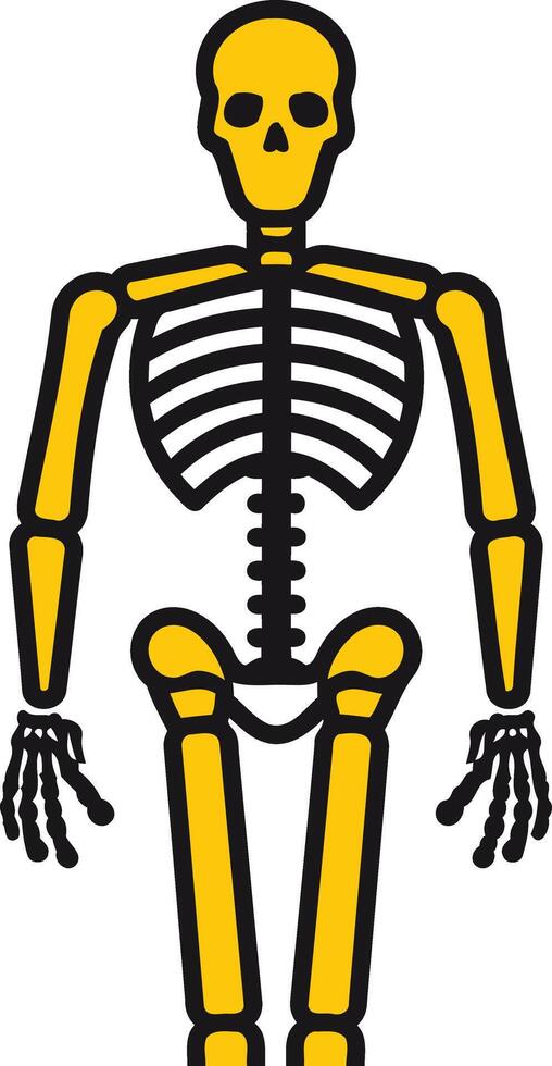 Skeleton Illustration with Yellow Bones vector