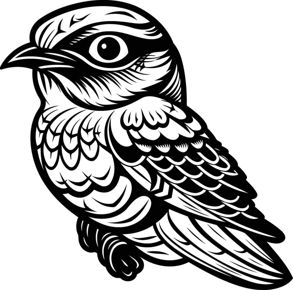 A detailed line art illustration of a bird, rendered in black and white vector