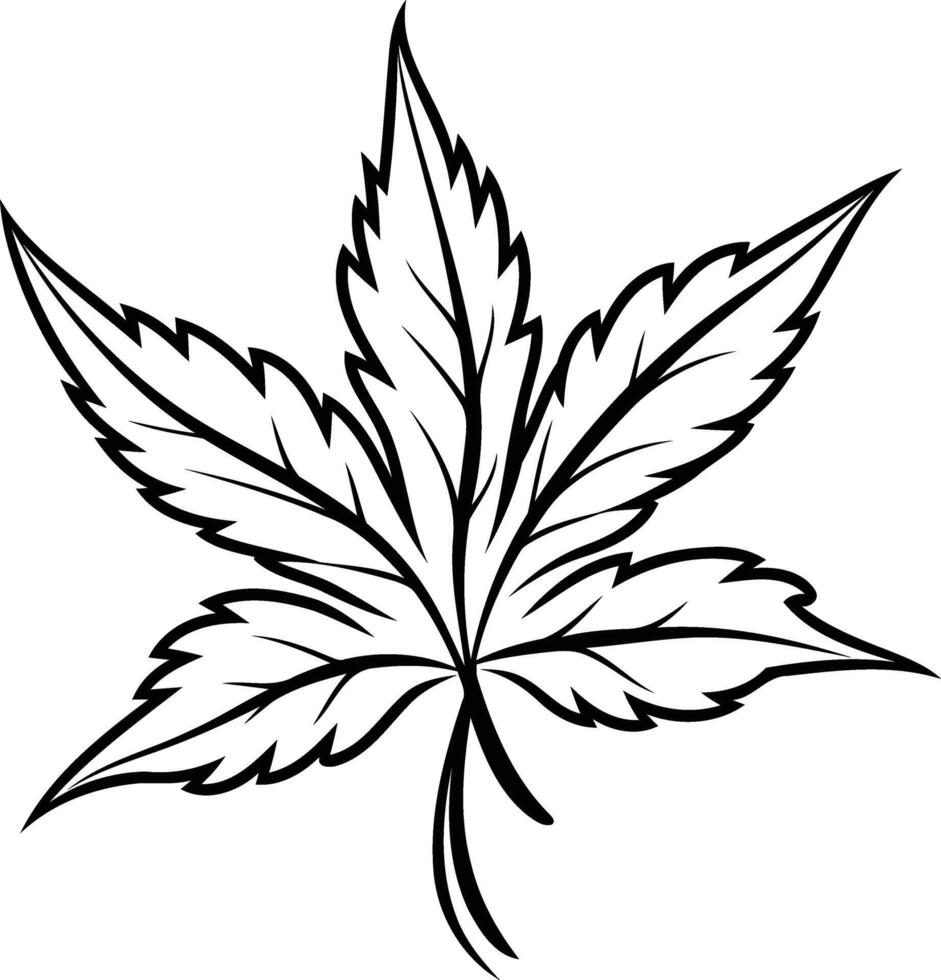 Simple black and white illustration of a single maple leaf, perfect for designs, coloring pages, and more vector