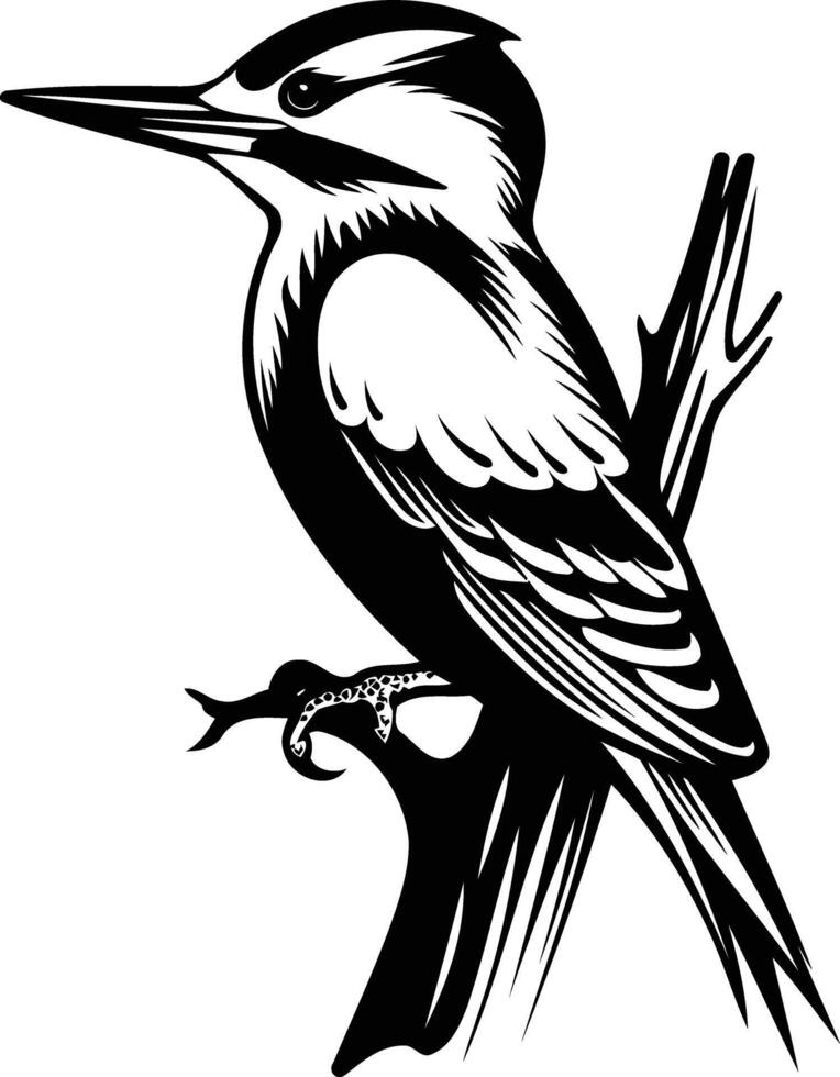 Black and white illustration of a woodpecker perched on a branch, perfect for tattoo designs, nature themed projects, or wildlife illustrations vector