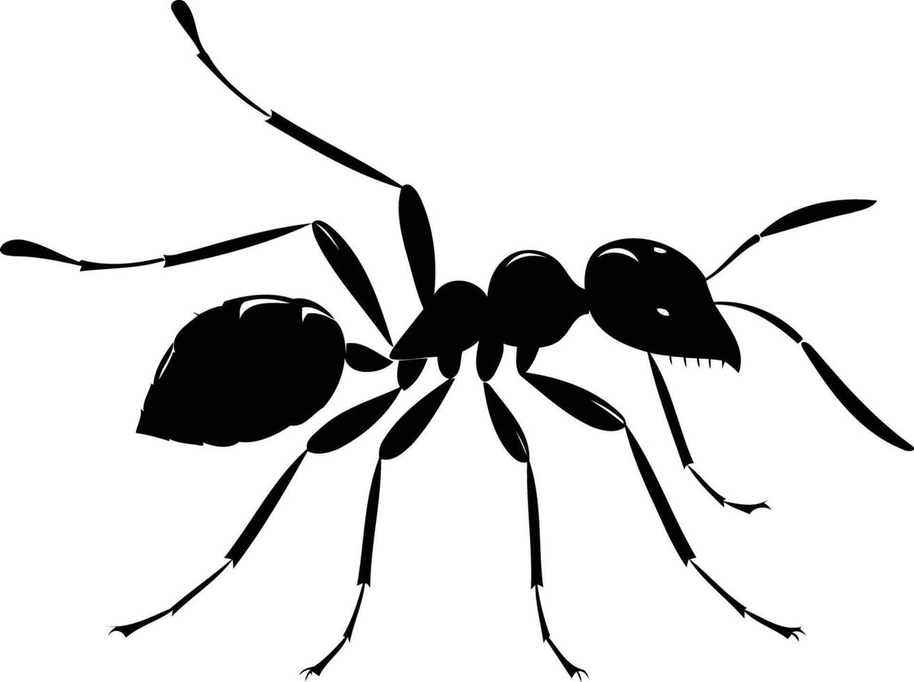Black silhouette of an ant, isolated on a white background vector