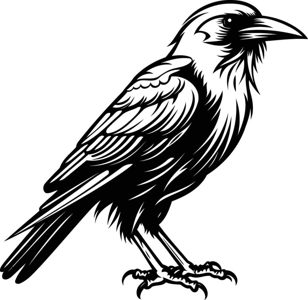A black and white element illustration of a crow, perfect for t shirt designs, tattoos, and more vector