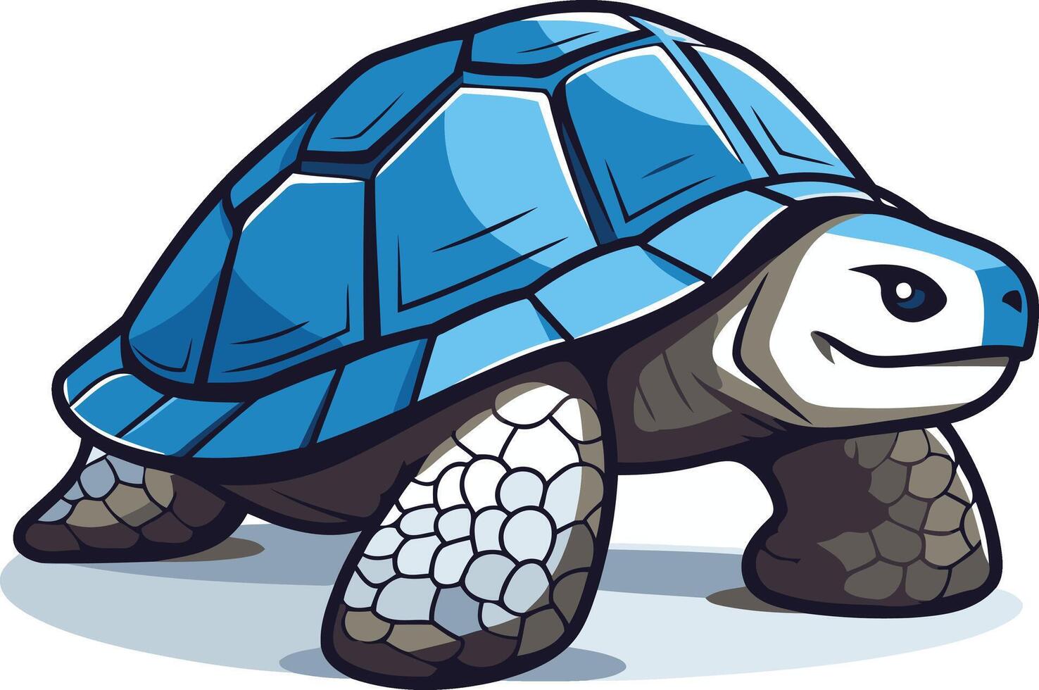 Cartoon Turtle Illustration vector