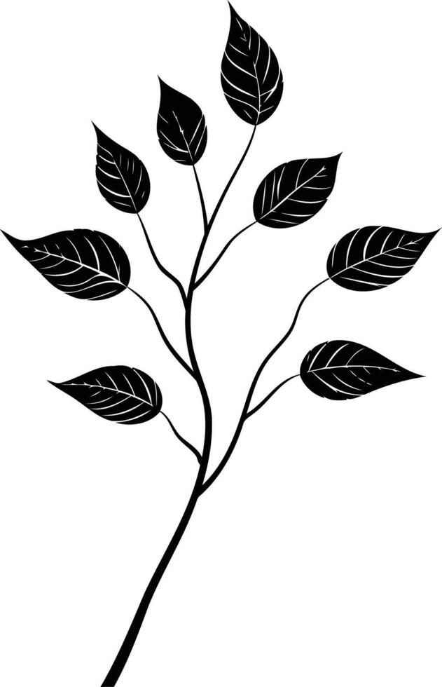 Elegant black silhouette of a branch with delicate leaves vector