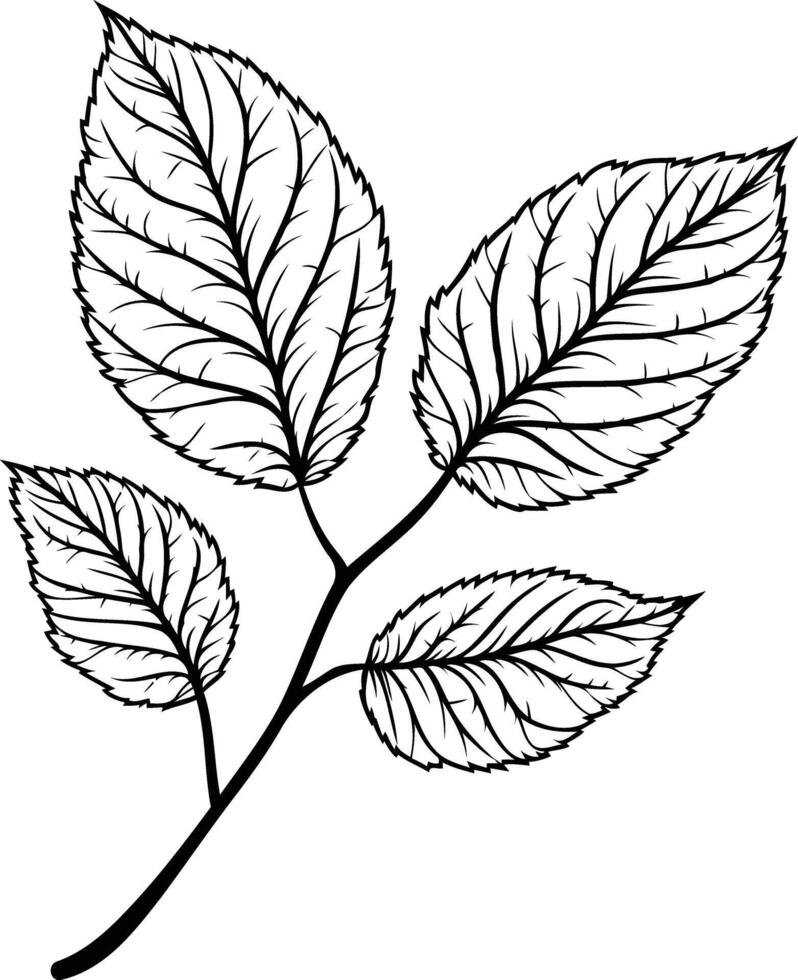 Elegant black and white illustration of a delicate leaf branch vector