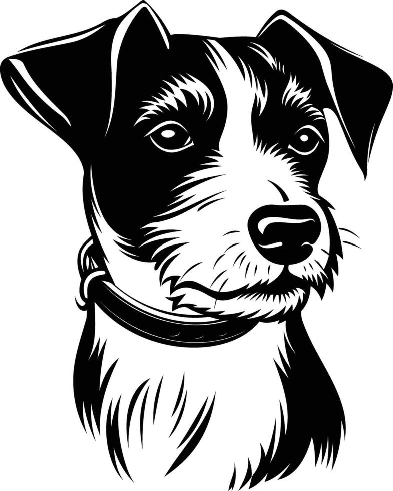 Black and white illustration of a jack russell terrier dog's head, perfect for t shirt designs, posters, or any project with a playful and energetic vibe vector