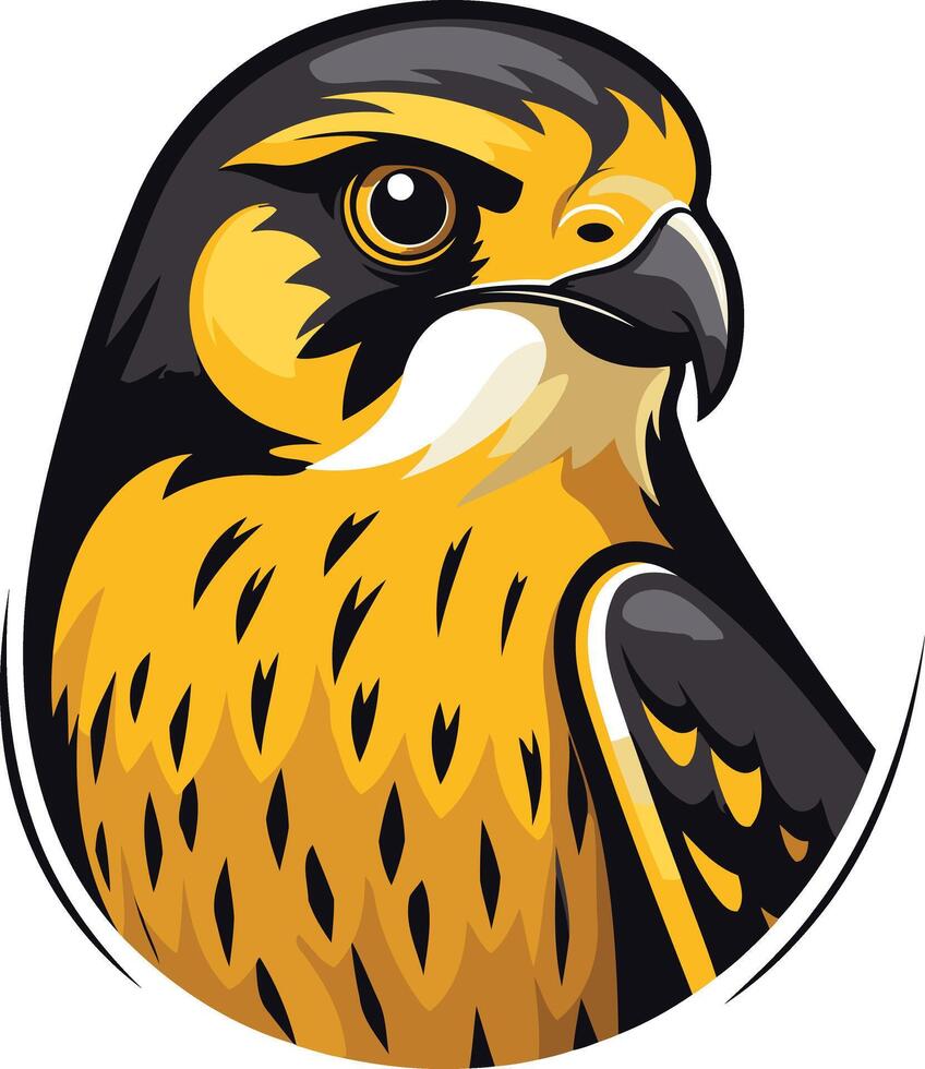 A Close up of a Majestic Falcon vector