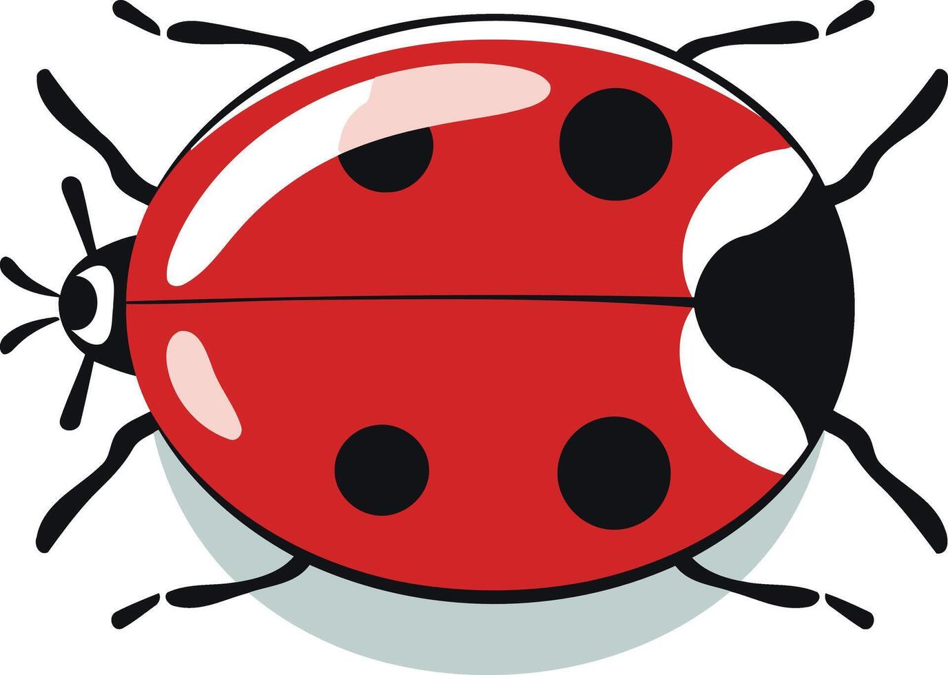 Cartoon Illustration of a Red Ladybug vector