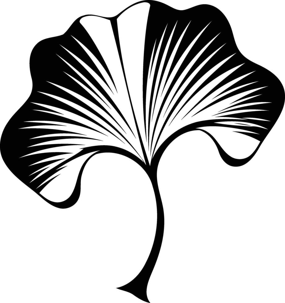 A simple, elegant, black and white illustration of a ginkgo leaf vector