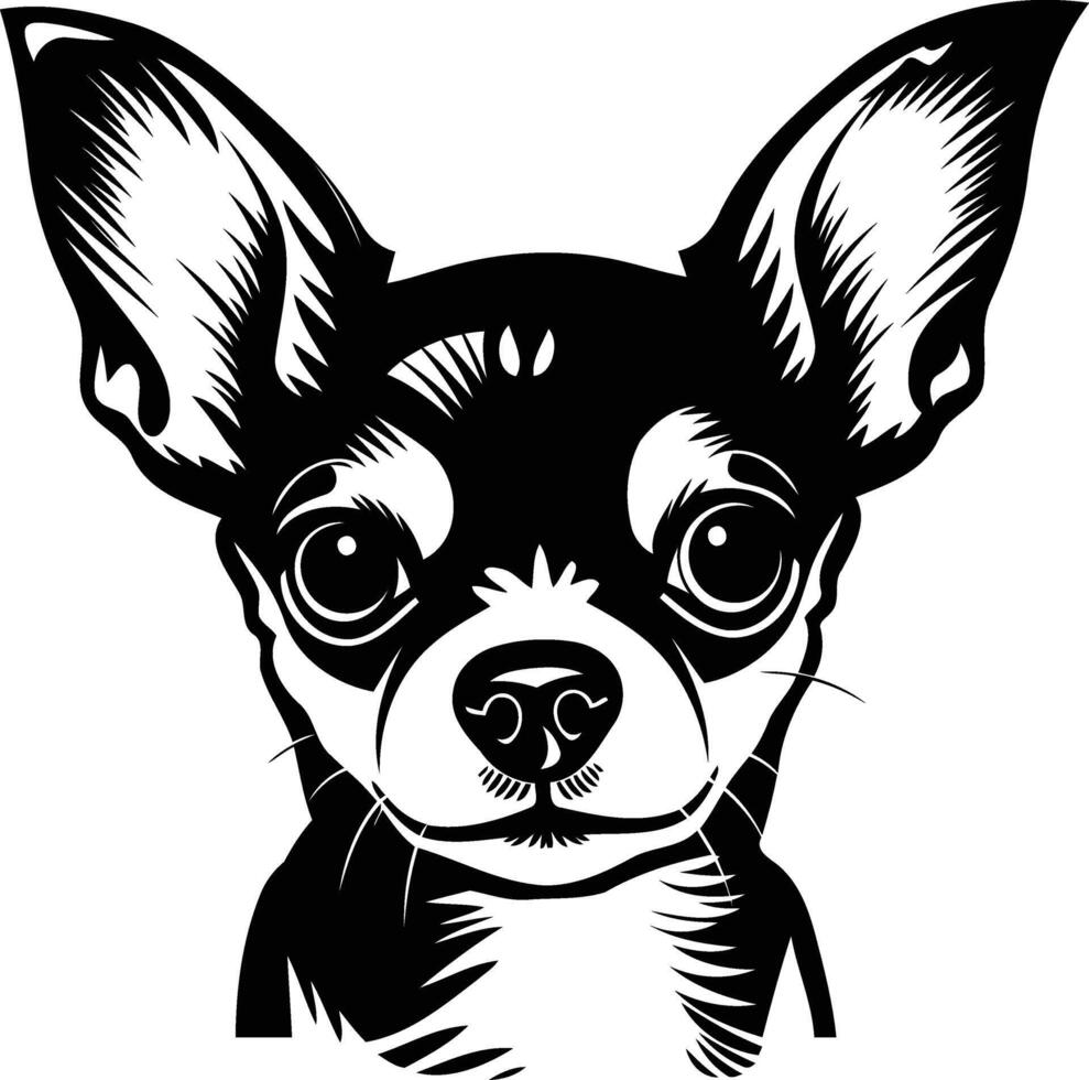 A bold and detailed black and white illustration of a chihuahua's head, perfect for t shirt designs, stickers, and other pet themed merchandise vector