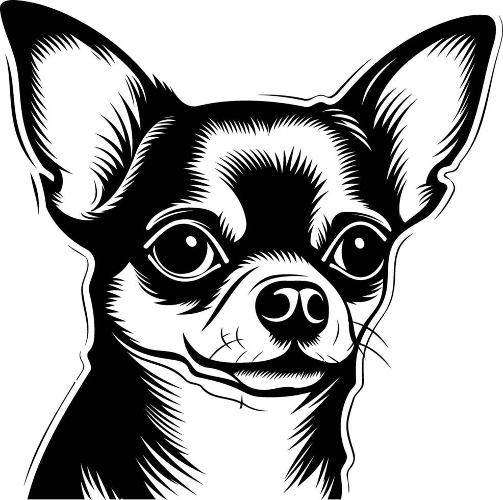 A bold, black and white illustration of a chihuahua's face vector