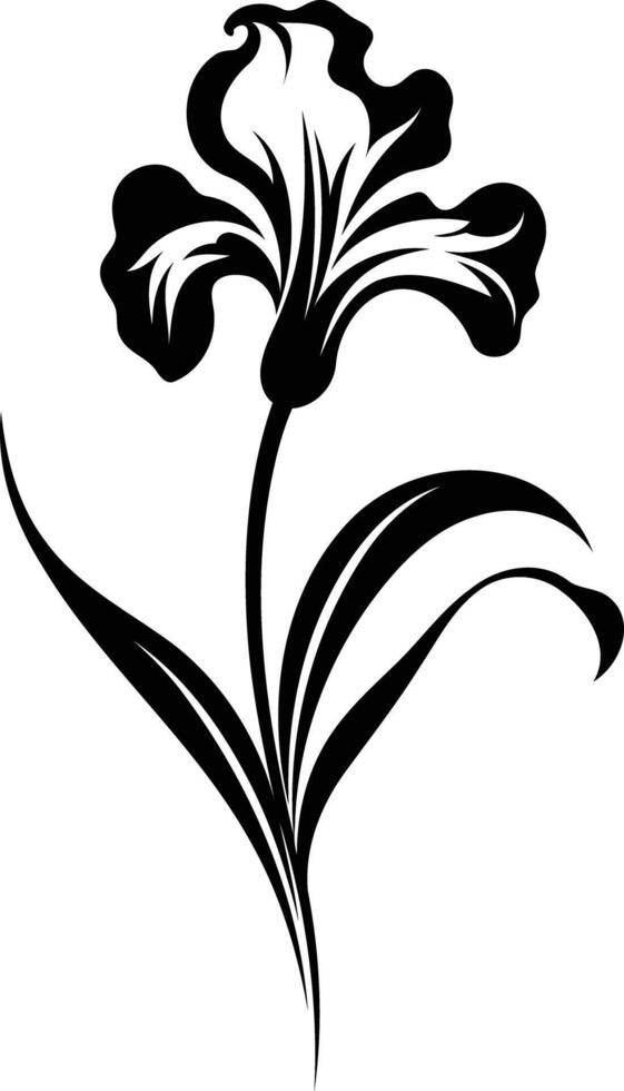 Elegant black and white illustration of an iris flower vector