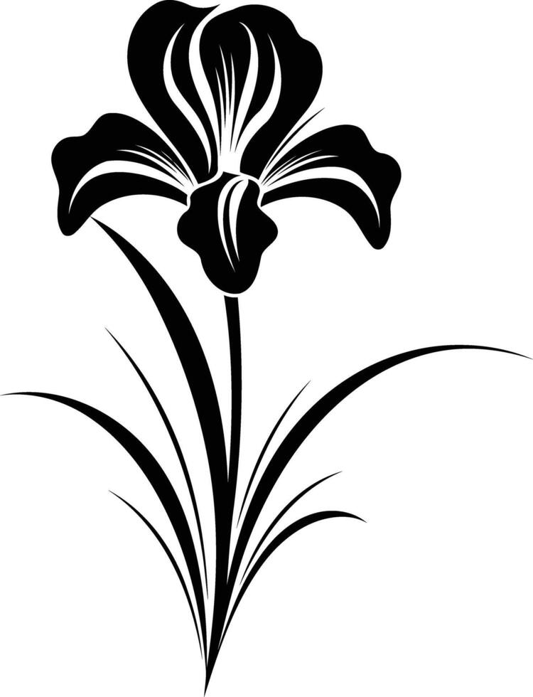 Elegant black and white silhouette of an iris flower with delicate stem and leaves vector