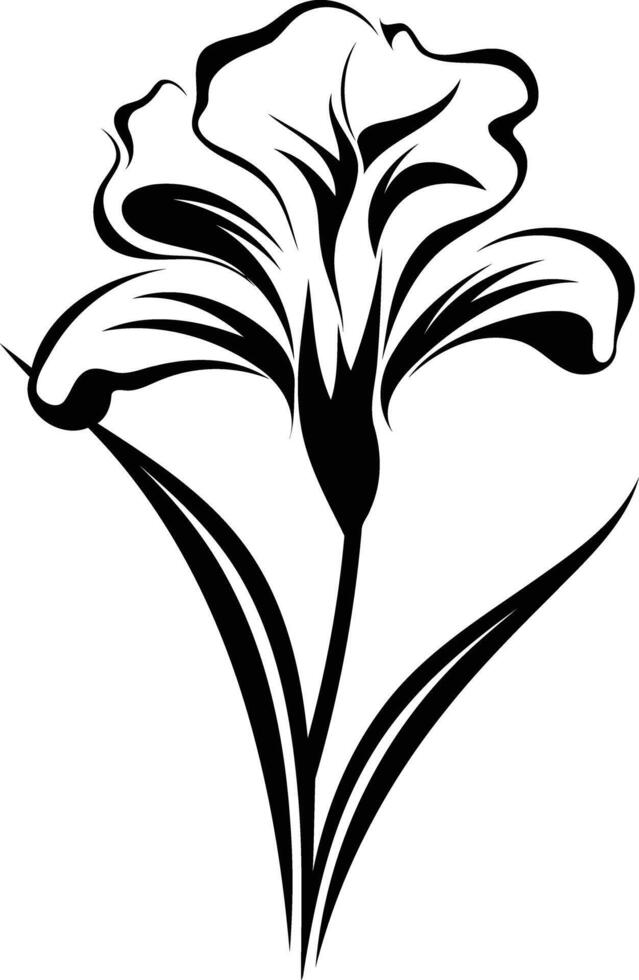 Elegant black and white line art illustration of a stylized iris flower vector