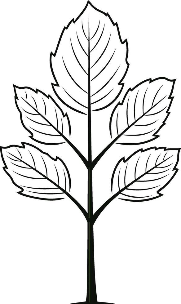 Outline of a Small Tree with Five Leaves vector