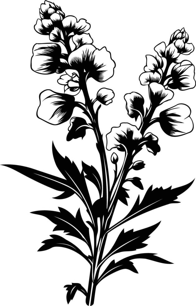 Elegant black and white silhouette of a blooming flower with intricate details vector